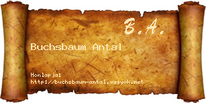 Buchsbaum Antal névjegykártya