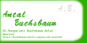 antal buchsbaum business card